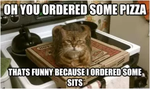 Oh you ordered some pizza. That's funny because I ordered some sits Picture Quote #1