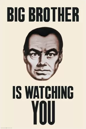 Big brother is watching you Picture Quote #1