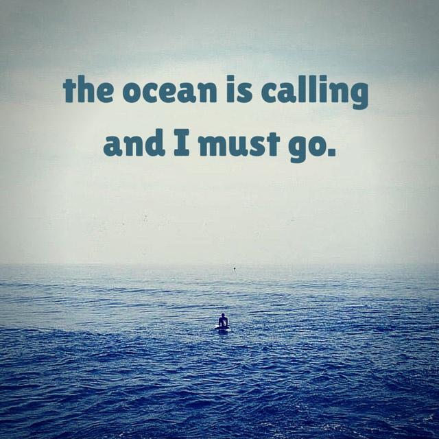 The ocean is calling and I must go Picture Quote #1