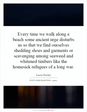 Every time we walk along a beach some ancient urge disturbs us so that we find ourselves shedding shoes and garments or scavenging among seaweed and whitened timbers like the homesick refugees of a long war Picture Quote #1