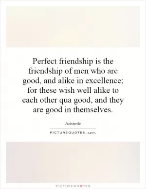 Perfect friendship is the friendship of men who are good, and alike in excellence; for these wish well alike to each other qua good, and they are good in themselves Picture Quote #1