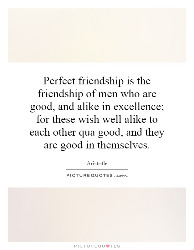 Perfect friendship is the friendship of men who are good, and alike in excellence; for these wish well alike to each other qua good, and they are good in themselves Picture Quote #1