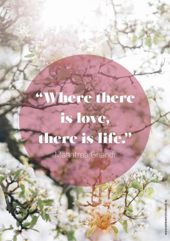 Where there is love there is life Picture Quote #1