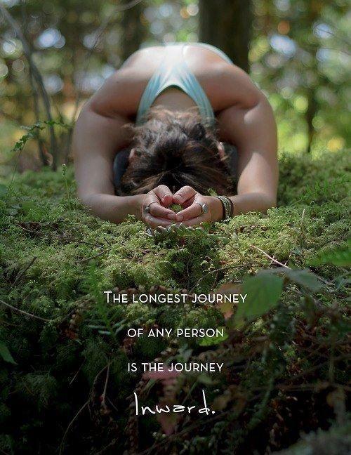 The longest journey of any person is the journey inward Picture Quote #1