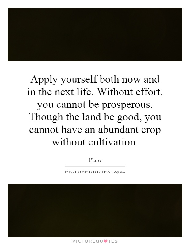 Apply yourself both now and in the next life. Without effort, you cannot be prosperous. Though the land be good, you cannot have an abundant crop without cultivation Picture Quote #1