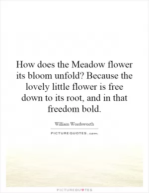 How does the Meadow flower its bloom unfold? Because the lovely little flower is free down to its root, and in that freedom bold Picture Quote #1