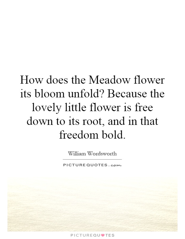 How does the Meadow flower its bloom unfold? Because the lovely little flower is free down to its root, and in that freedom bold Picture Quote #1