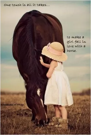 One touch is all it takes... to make a girl fall in love with a horse Picture Quote #1
