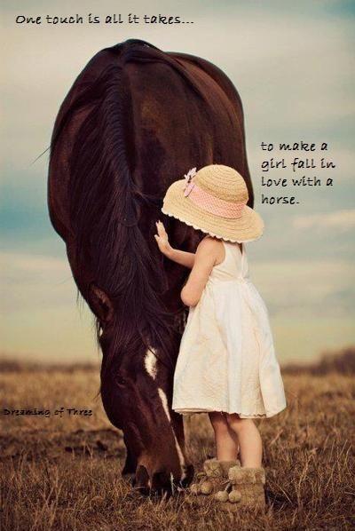 One touch is all it takes... to make a girl fall in love with a horse Picture Quote #1