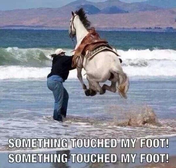 Something touched my foot! something touched my foot! Picture Quote #1