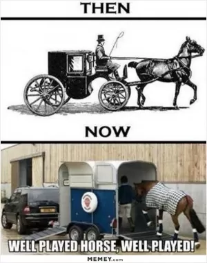 Then. Now. Well played horse, well played! Picture Quote #1