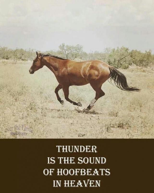 Thunder is the sound of hoofbeats in heaven Picture Quote #1