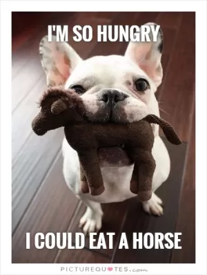 I'm so hungry           I could eat a horse Picture Quote #1