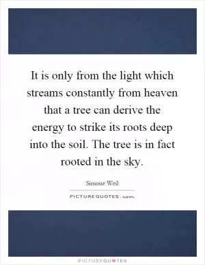 It is only from the light which streams constantly from heaven that a tree can derive the energy to strike its roots deep into the soil. The tree is in fact rooted in the sky Picture Quote #1