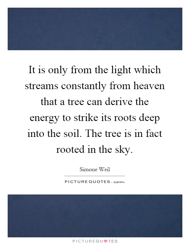 It is only from the light which streams constantly from heaven that a tree can derive the energy to strike its roots deep into the soil. The tree is in fact rooted in the sky Picture Quote #1
