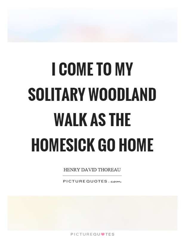 I come to my solitary woodland walk as the homesick go home Picture Quote #1