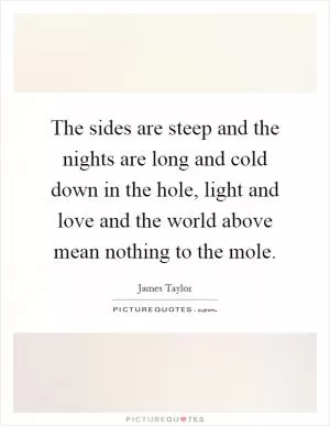 The sides are steep and the nights are long and cold down in the hole, light and love and the world above mean nothing to the mole Picture Quote #1