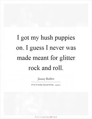 I got my hush puppies on. I guess I never was made meant for glitter rock and roll Picture Quote #1