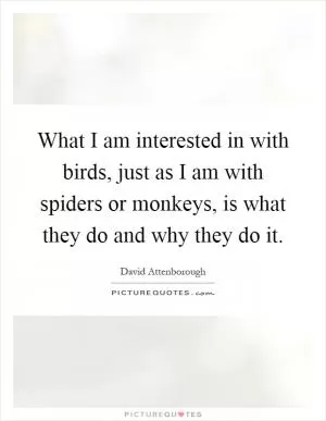 What I am interested in with birds, just as I am with spiders or monkeys, is what they do and why they do it Picture Quote #1