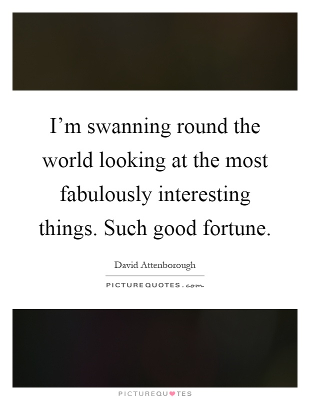 I'm swanning round the world looking at the most fabulously interesting things. Such good fortune Picture Quote #1