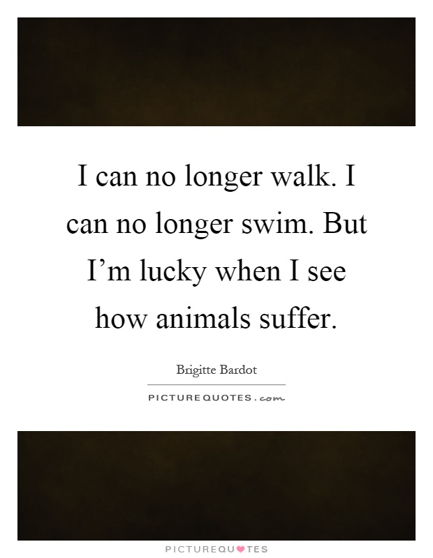 I can no longer walk. I can no longer swim. But I'm lucky when I see how animals suffer Picture Quote #1
