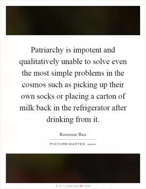 Patriarchy is impotent and qualitatively unable to solve even the most simple problems in the cosmos such as picking up their own socks or placing a carton of milk back in the refrigerator after drinking from it Picture Quote #1