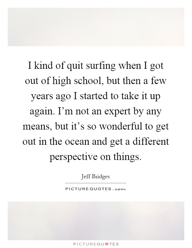 I kind of quit surfing when I got out of high school, but then a few years ago I started to take it up again. I'm not an expert by any means, but it's so wonderful to get out in the ocean and get a different perspective on things Picture Quote #1