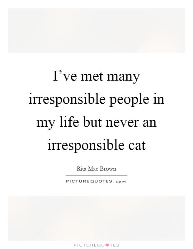 I've met many irresponsible people in my life but never an irresponsible cat Picture Quote #1