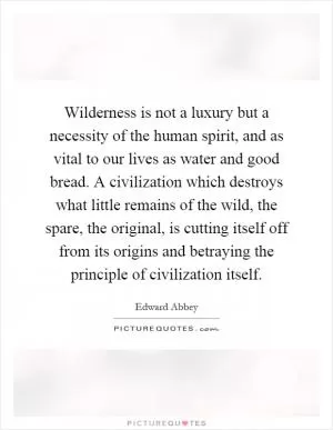 Wilderness is not a luxury but a necessity of the human spirit, and as vital to our lives as water and good bread. A civilization which destroys what little remains of the wild, the spare, the original, is cutting itself off from its origins and betraying the principle of civilization itself Picture Quote #1