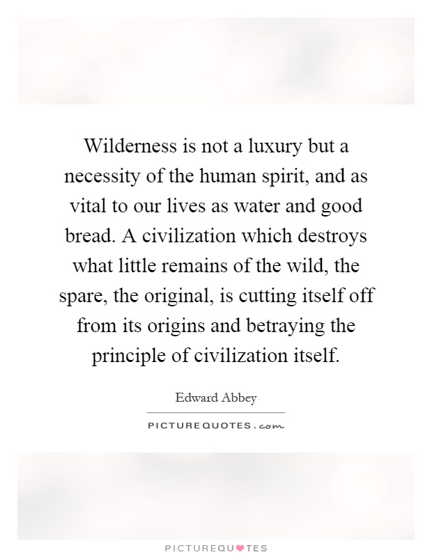 Wilderness is not a luxury but a necessity of the human spirit, and as vital to our lives as water and good bread. A civilization which destroys what little remains of the wild, the spare, the original, is cutting itself off from its origins and betraying the principle of civilization itself Picture Quote #1