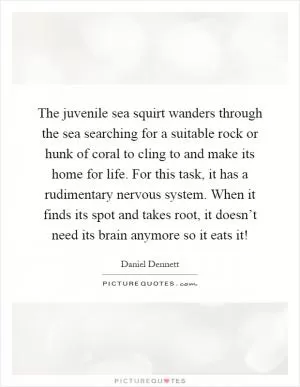 The juvenile sea squirt wanders through the sea searching for a suitable rock or hunk of coral to cling to and make its home for life. For this task, it has a rudimentary nervous system. When it finds its spot and takes root, it doesn’t need its brain anymore so it eats it! Picture Quote #1