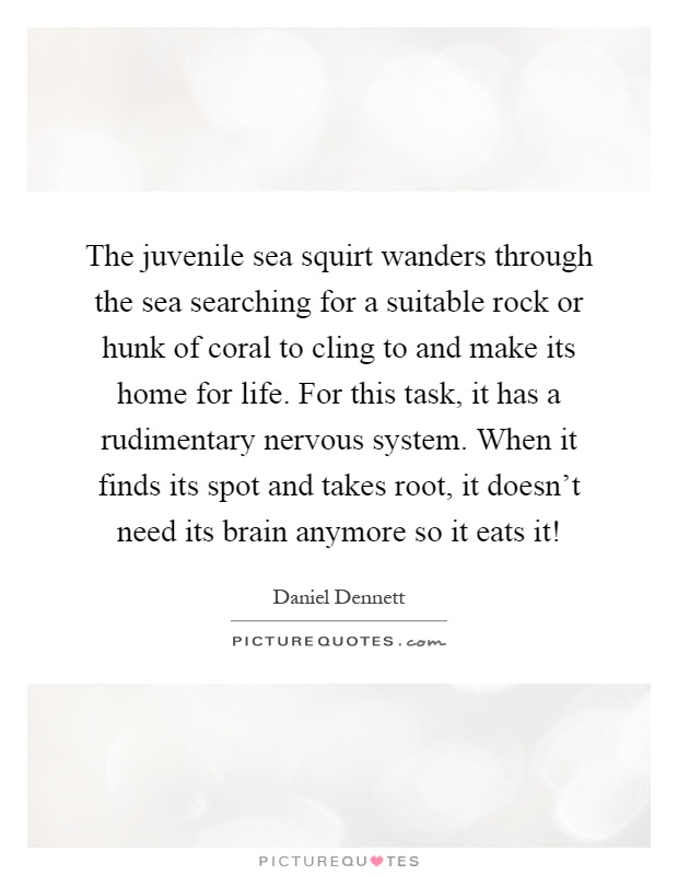 The juvenile sea squirt wanders through the sea searching for a suitable rock or hunk of coral to cling to and make its home for life. For this task, it has a rudimentary nervous system. When it finds its spot and takes root, it doesn't need its brain anymore so it eats it! Picture Quote #1