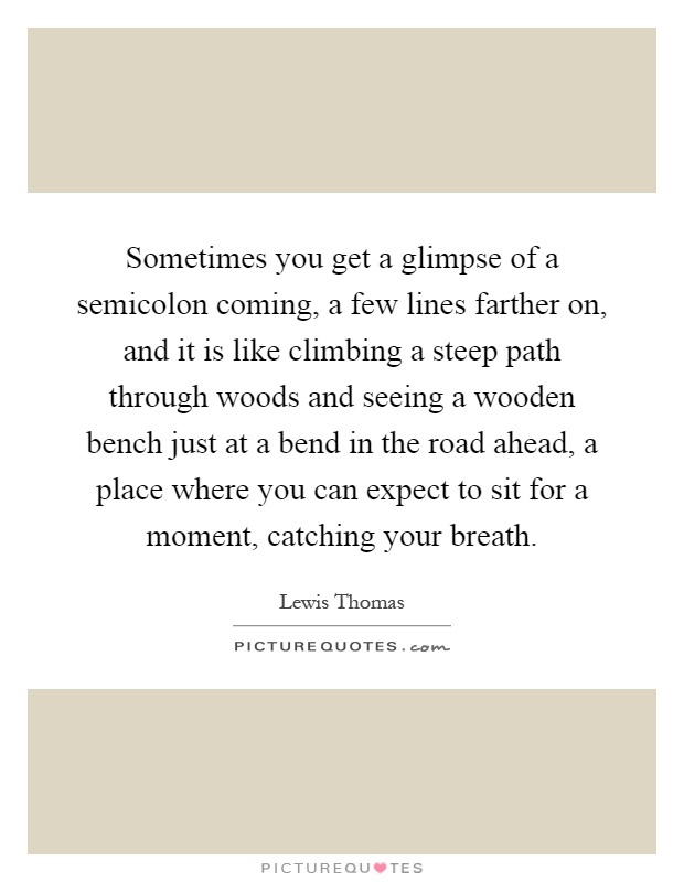 Sometimes you get a glimpse of a semicolon coming, a few lines farther on, and it is like climbing a steep path through woods and seeing a wooden bench just at a bend in the road ahead, a place where you can expect to sit for a moment, catching your breath Picture Quote #1