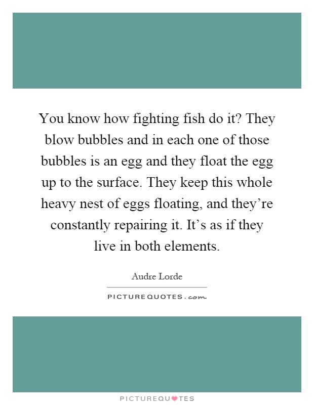 You know how fighting fish do it? They blow bubbles and in each one of those bubbles is an egg and they float the egg up to the surface. They keep this whole heavy nest of eggs floating, and they're constantly repairing it. It's as if they live in both elements Picture Quote #1