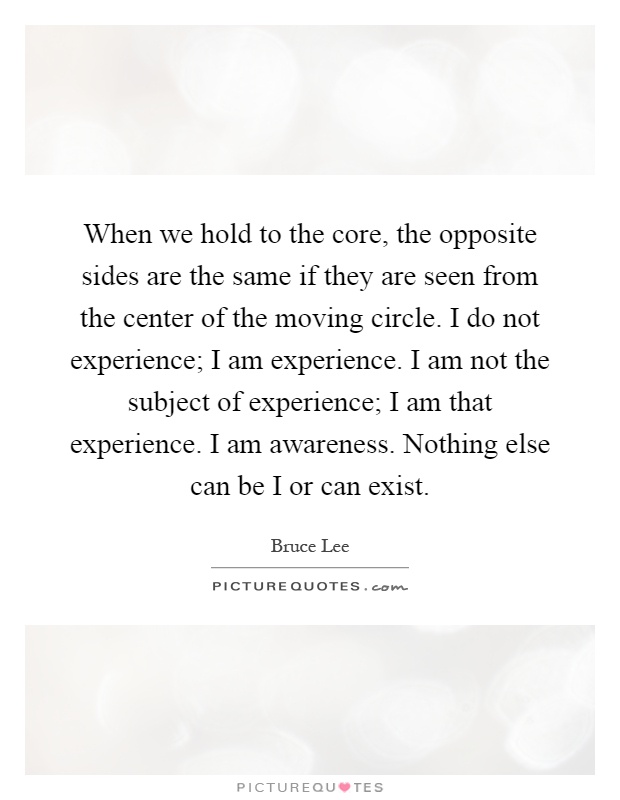 When we hold to the core, the opposite sides are the same if they are seen from the center of the moving circle. I do not experience; I am experience. I am not the subject of experience; I am that experience. I am awareness. Nothing else can be I or can exist Picture Quote #1