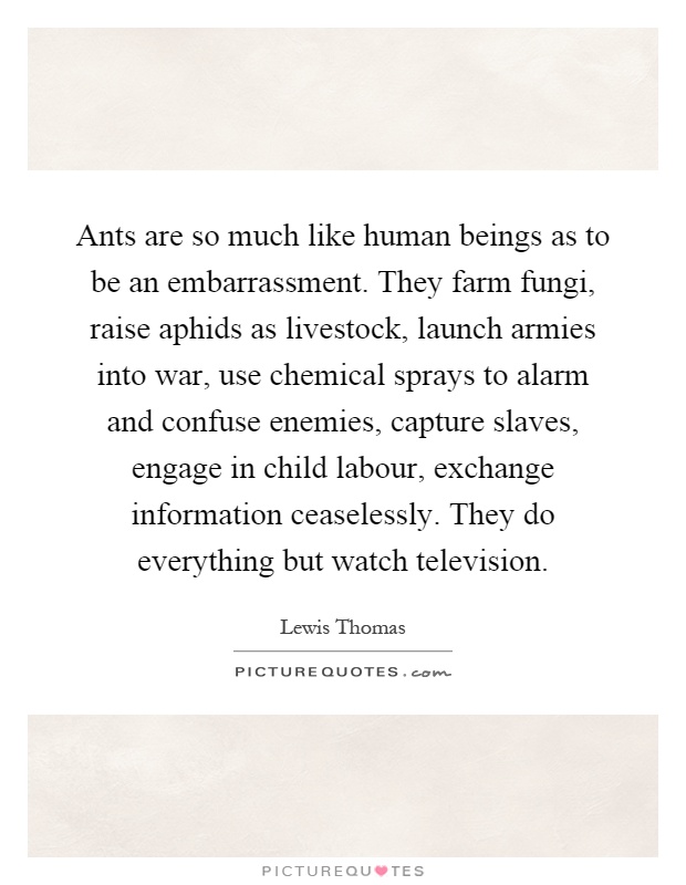 Ants are so much like human beings as to be an embarrassment. They farm fungi, raise aphids as livestock, launch armies into war, use chemical sprays to alarm and confuse enemies, capture slaves, engage in child labour, exchange information ceaselessly. They do everything but watch television Picture Quote #1