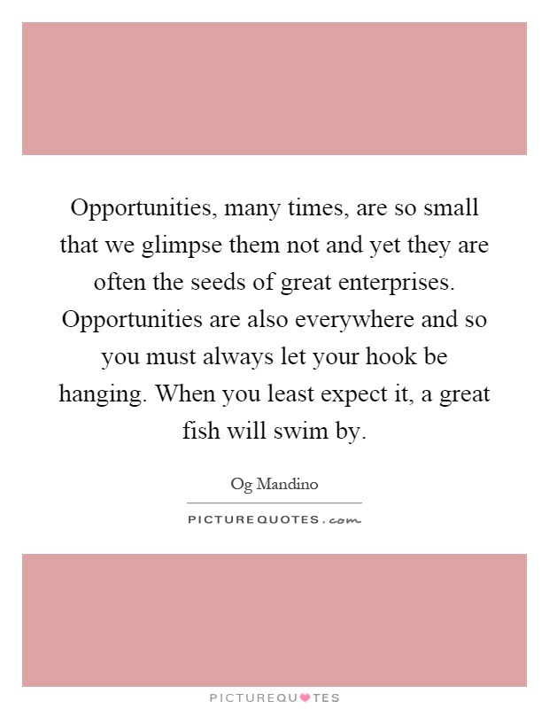 Opportunities, many times, are so small that we glimpse them not and yet they are often the seeds of great enterprises. Opportunities are also everywhere and so you must always let your hook be hanging. When you least expect it, a great fish will swim by Picture Quote #1