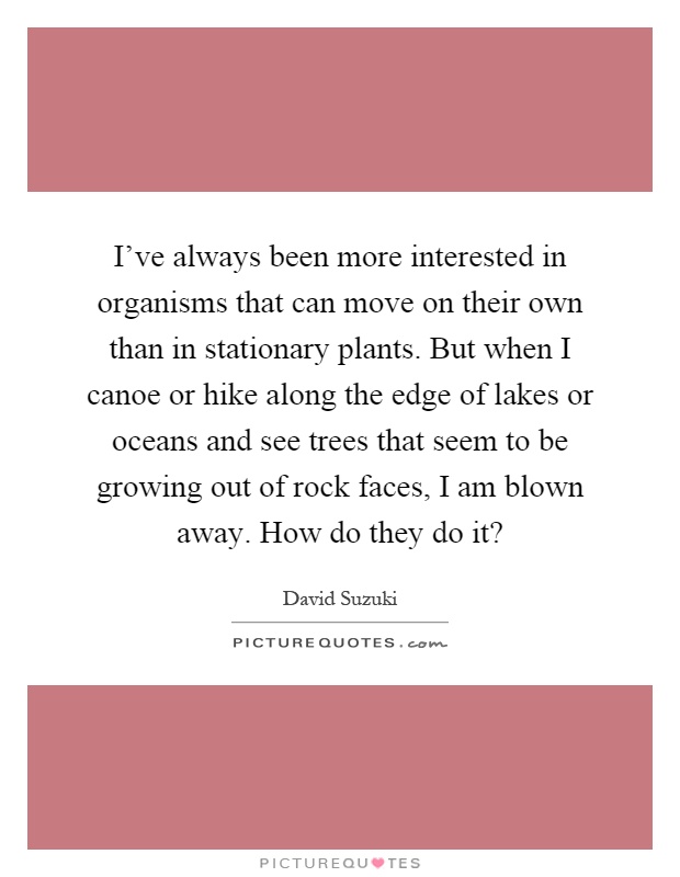 I've always been more interested in organisms that can move on their own than in stationary plants. But when I canoe or hike along the edge of lakes or oceans and see trees that seem to be growing out of rock faces, I am blown away. How do they do it? Picture Quote #1