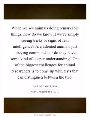 When we see animals doing remarkable things, how do we know if we’re simply seeing tricks or signs of real intelligence? Are talented animals just obeying commands, or do they have some kind of deeper understanding? One of the biggest challenges for animal researchers is to come up with tests that can distinguish between the two Picture Quote #1
