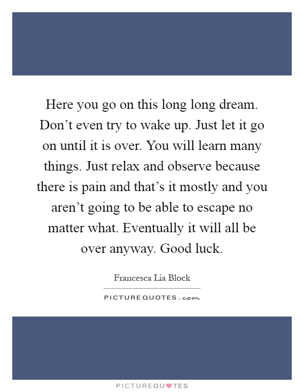 Here you go on this long long dream. Don't even try to wake up. Just let it go on until it is over. You will learn many things. Just relax and observe because there is pain and that's it mostly and you aren't going to be able to escape no matter what. Eventually it will all be over anyway. Good luck Picture Quote #1