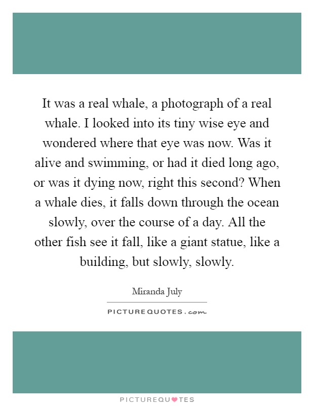 It was a real whale, a photograph of a real whale. I looked into its tiny wise eye and wondered where that eye was now. Was it alive and swimming, or had it died long ago, or was it dying now, right this second? When a whale dies, it falls down through the ocean slowly, over the course of a day. All the other fish see it fall, like a giant statue, like a building, but slowly, slowly Picture Quote #1