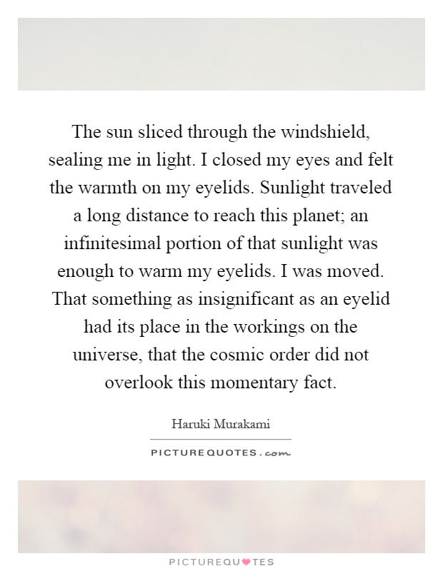 The sun sliced through the windshield, sealing me in light. I closed my eyes and felt the warmth on my eyelids. Sunlight traveled a long distance to reach this planet; an infinitesimal portion of that sunlight was enough to warm my eyelids. I was moved. That something as insignificant as an eyelid had its place in the workings on the universe, that the cosmic order did not overlook this momentary fact Picture Quote #1