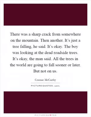 There was a sharp crack from somewhere on the mountain. Then another. It’s just a tree falling, he said. It’s okay. The boy was looking at the dead roadside trees. It’s okay, the man said. All the trees in the world are going to fall sooner or later. But not on us Picture Quote #1