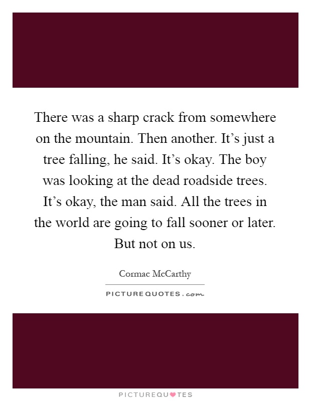 There was a sharp crack from somewhere on the mountain. Then another. It's just a tree falling, he said. It's okay. The boy was looking at the dead roadside trees. It's okay, the man said. All the trees in the world are going to fall sooner or later. But not on us Picture Quote #1