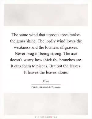 The same wind that uproots trees makes the grass shine. The lordly wind loves the weakness and the lowness of grasses. Never brag of being strong. The axe doesn’t worry how thick the branches are. It cuts them to pieces. But not the leaves. It leaves the leaves alone Picture Quote #1