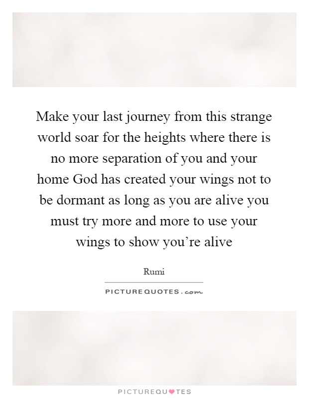 Make your last journey from this strange world soar for the heights where there is no more separation of you and your home God has created your wings not to be dormant as long as you are alive you must try more and more to use your wings to show you're alive Picture Quote #1