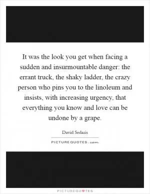 It was the look you get when facing a sudden and insurmountable danger: the errant truck, the shaky ladder, the crazy person who pins you to the linoleum and insists, with increasing urgency, that everything you know and love can be undone by a grape Picture Quote #1