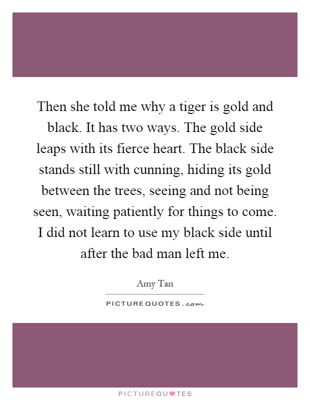 Then she told me why a tiger is gold and black. It has two ways. The gold side leaps with its fierce heart. The black side stands still with cunning, hiding its gold between the trees, seeing and not being seen, waiting patiently for things to come. I did not learn to use my black side until after the bad man left me Picture Quote #1