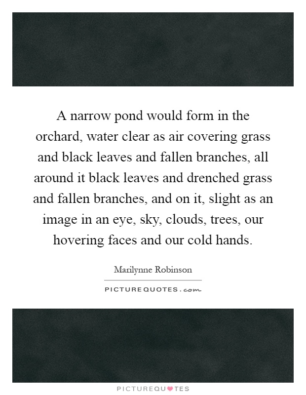 A narrow pond would form in the orchard, water clear as air covering grass and black leaves and fallen branches, all around it black leaves and drenched grass and fallen branches, and on it, slight as an image in an eye, sky, clouds, trees, our hovering faces and our cold hands Picture Quote #1