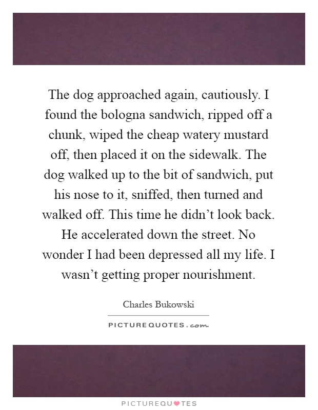 The dog approached again, cautiously. I found the bologna sandwich, ripped off a chunk, wiped the cheap watery mustard off, then placed it on the sidewalk. The dog walked up to the bit of sandwich, put his nose to it, sniffed, then turned and walked off. This time he didn't look back. He accelerated down the street. No wonder I had been depressed all my life. I wasn't getting proper nourishment Picture Quote #1